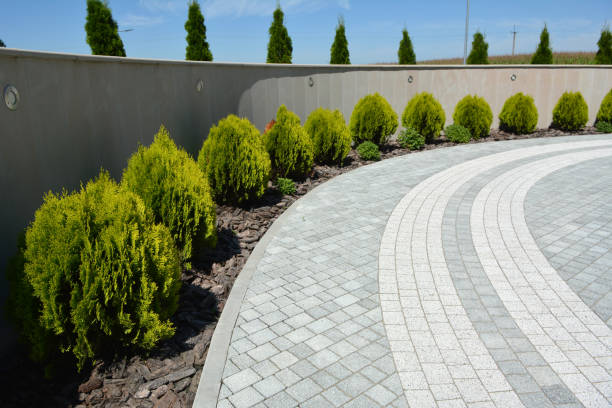 Best Driveway Pavers Near Me  in Wyboo, SC